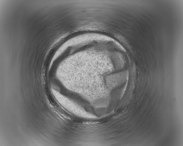 X0000078870680200612111714