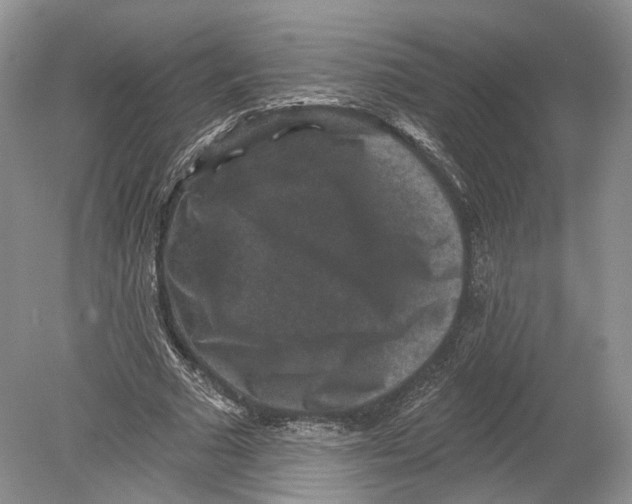 X0000078870681200612111714