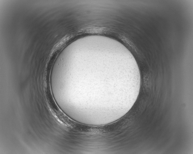 X0000078870682200612111714