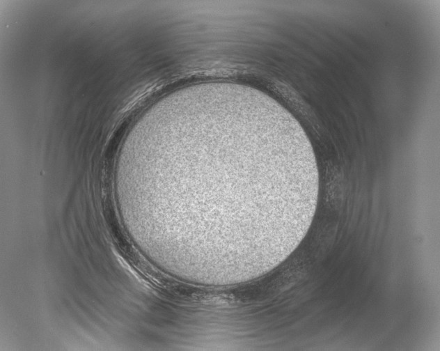 X0000078870683200612111714