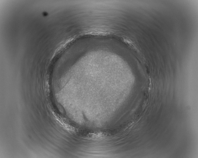 X0000078870688200612111714