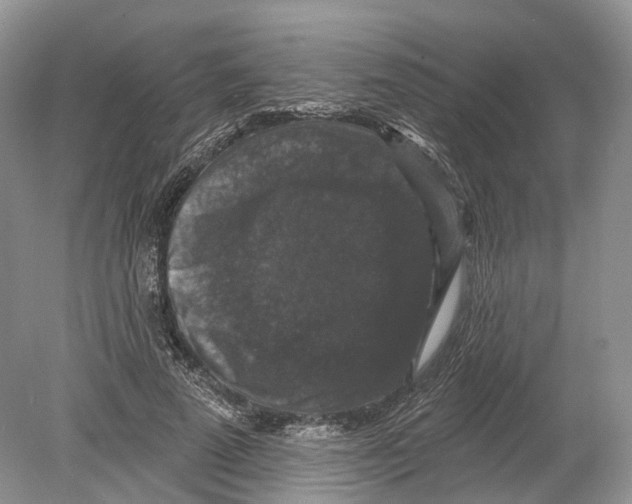 X0000078870689200612111714