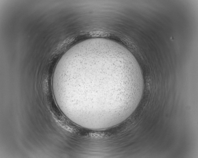 X0000078870690200612111714