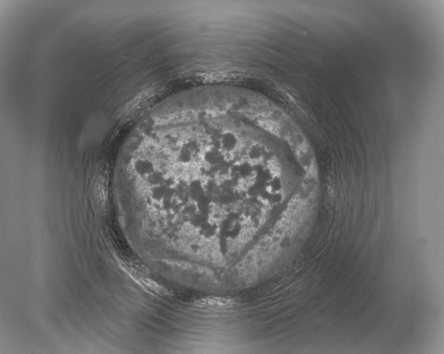 X0000078870691200612111714