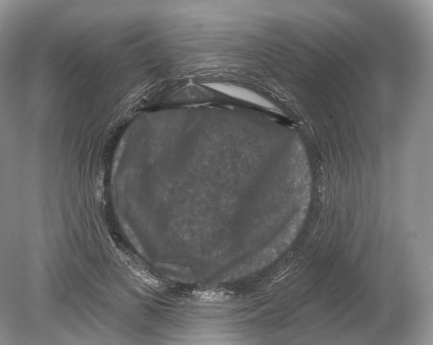 X0000078870693200612111714