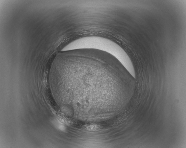 X0000078870695200612111714