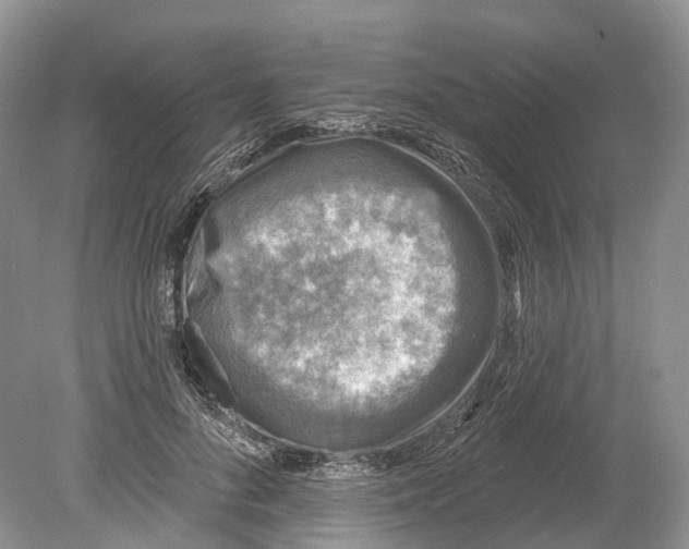 X0000078870696200612111714