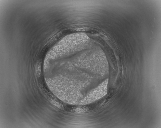 X0000078870697200612111714