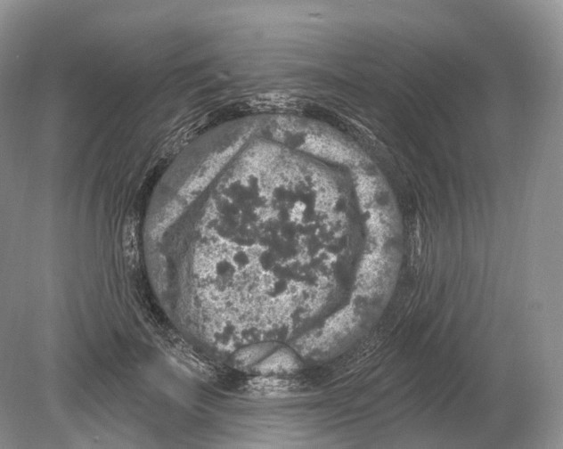 X0000078870699200612111714