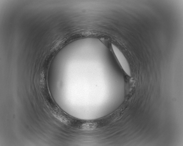 X0000078870700200612111714