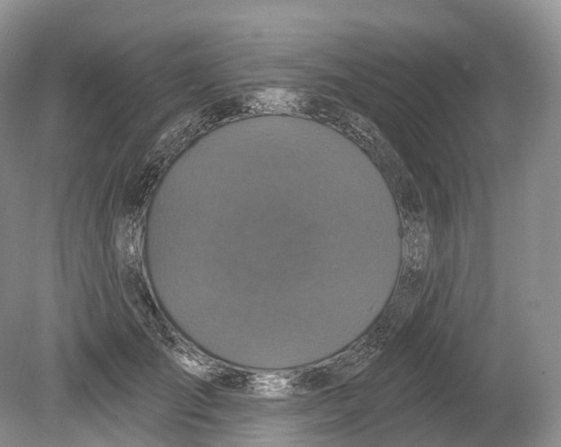 X0000078870701200612111714