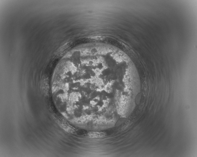 X0000078870707200612111714