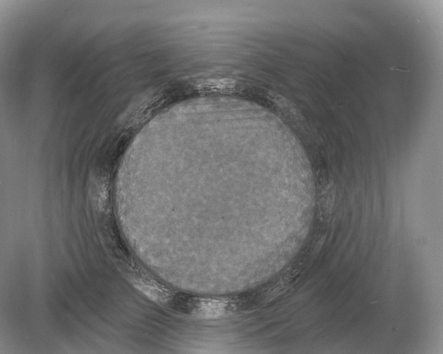 X0000078870709200612111714