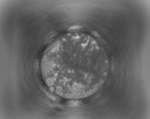 X0000078870711200612111714