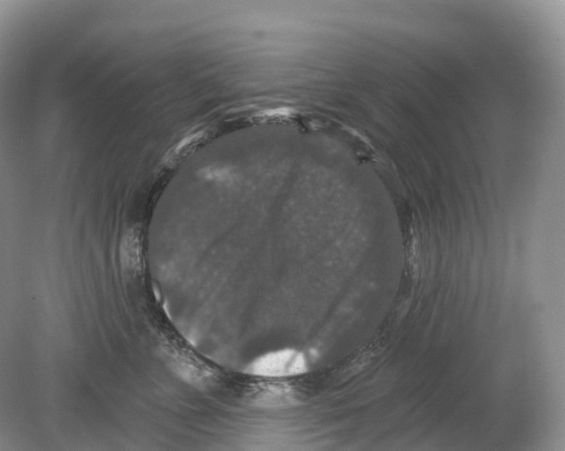 X0000078870715200612111713