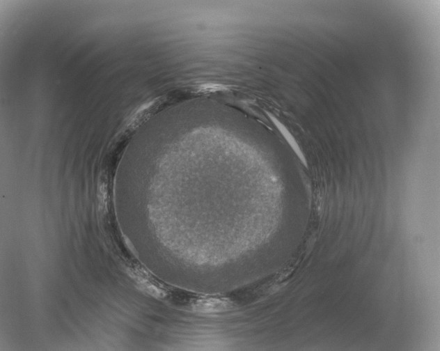 X0000078870716200612111713