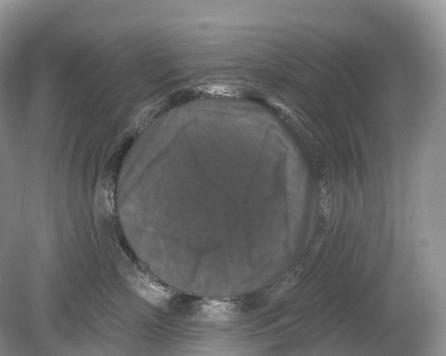 X0000078870718200612111713