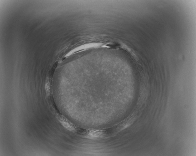 X0000078870720200612111713