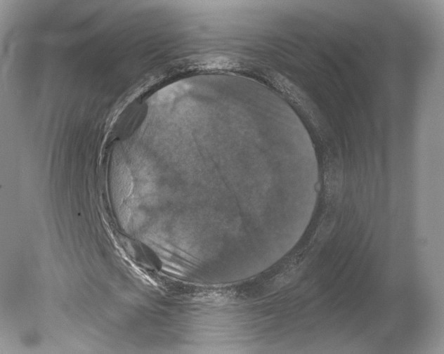 X0000078870721200612111713