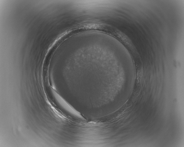 X0000078870722200612111713