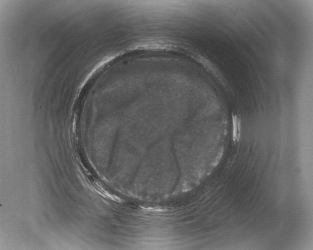 X0000078870723200612111713