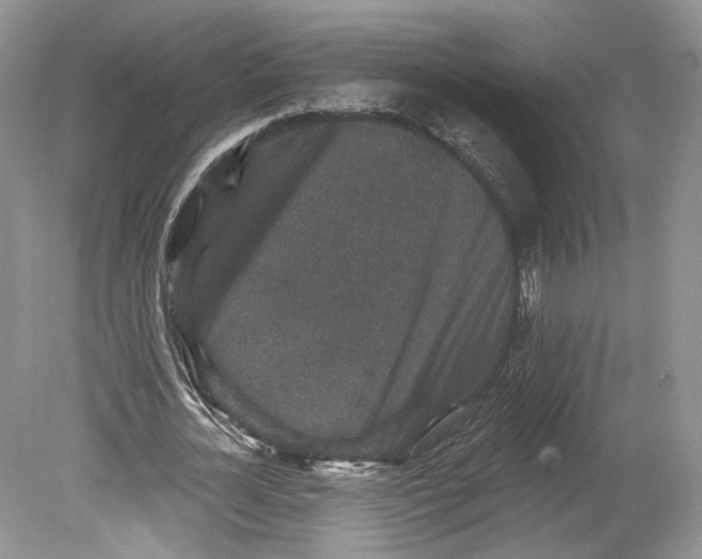 X0000078870724200612111713