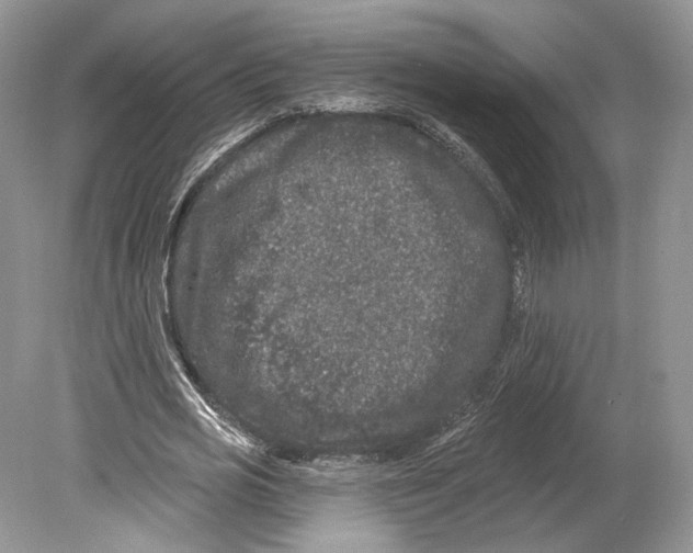 X0000078870725200612111713