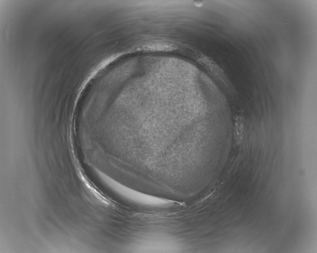 X0000078870726200612111713