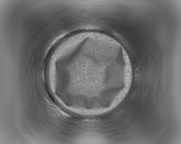 X0000078870727200612111713