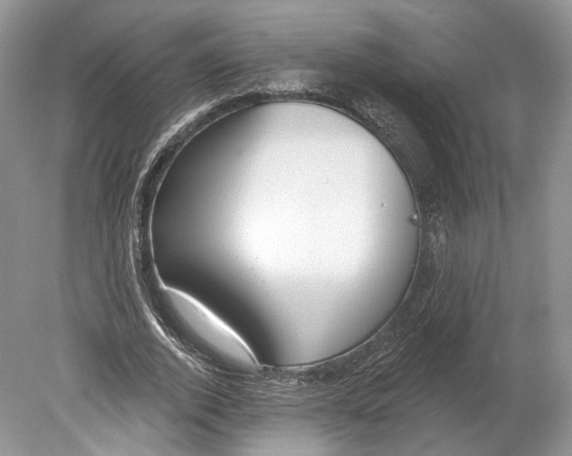 X0000078870728200612111713