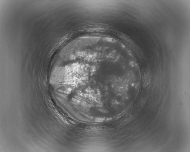 X0000078870729200612111713