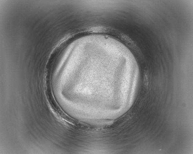 X0000078870730200612111713