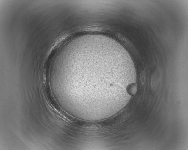 X0000078870731200612111713