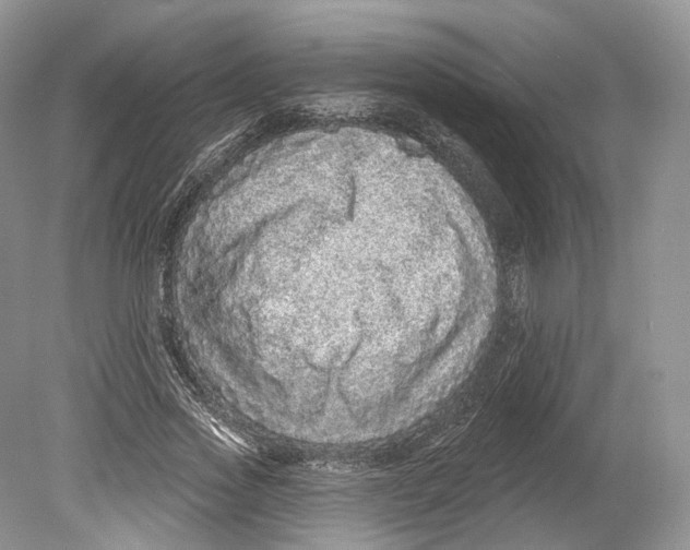 X0000078870733200612111713