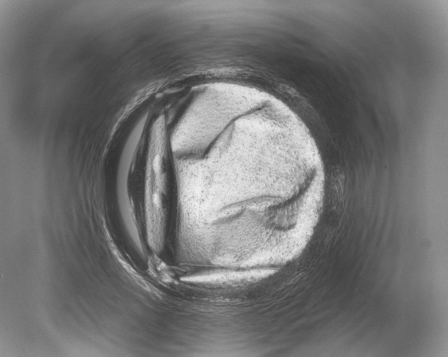 X0000078870734200612111713