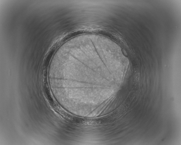 X0000078870736200612111713