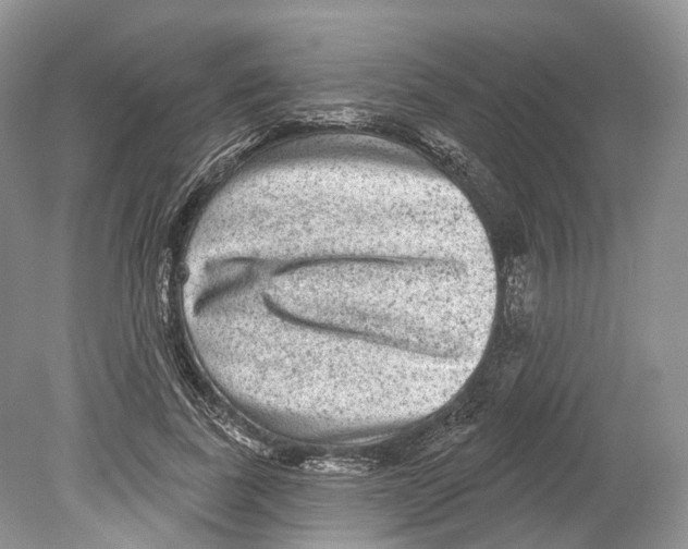 X0000078870739200612111713