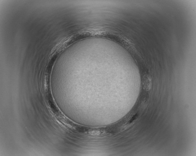 X0000078870740200612111713