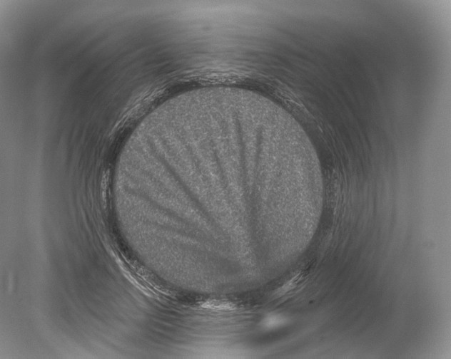 X0000078870742200612111713