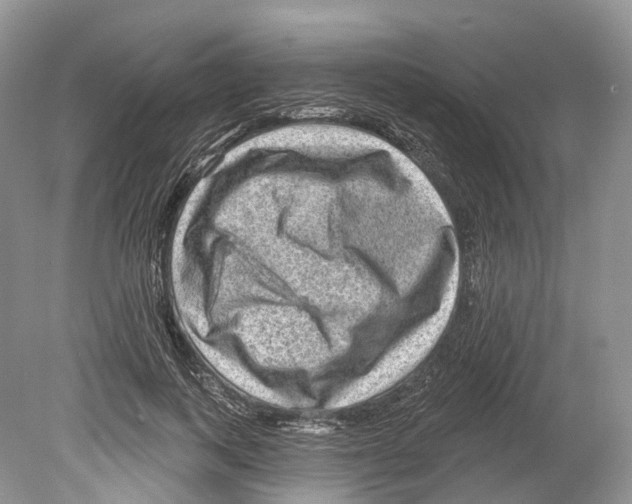 X0000078870743200612111713