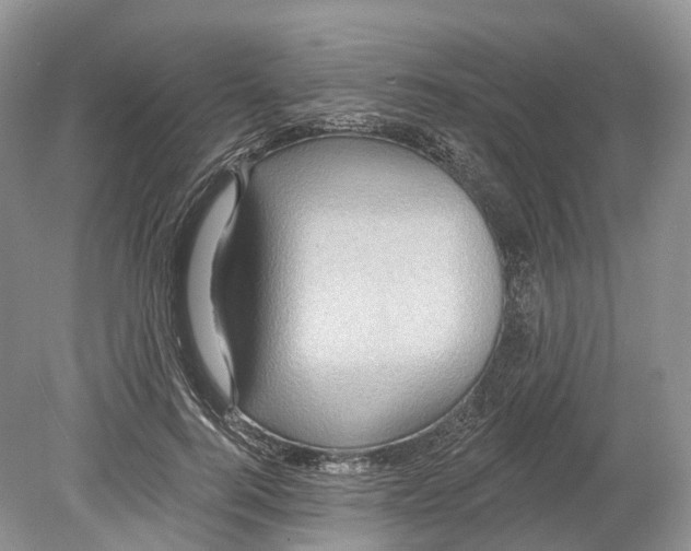 X0000078870744200612111713