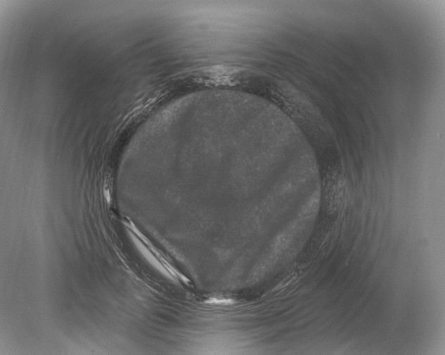 X0000078870747200612111713