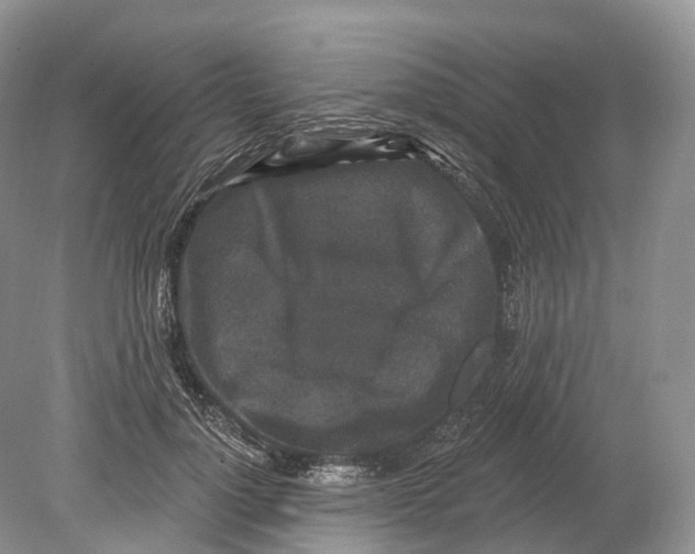 X0000078870748200612111713