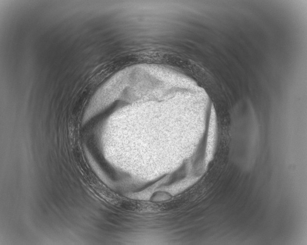 X0000078870749200612111713