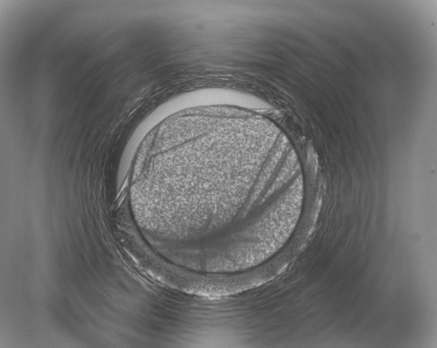 X0000078870750200612111713