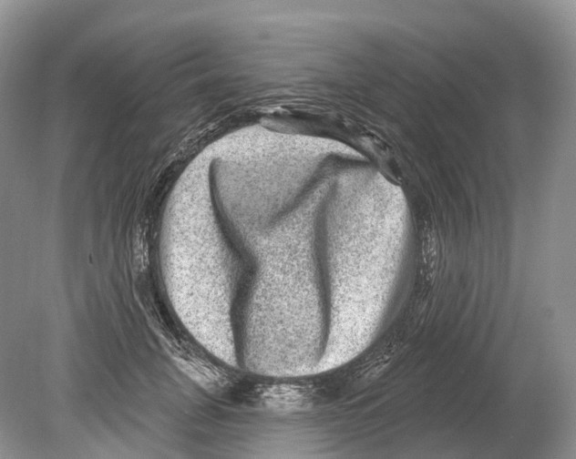 X0000078870751200612111713