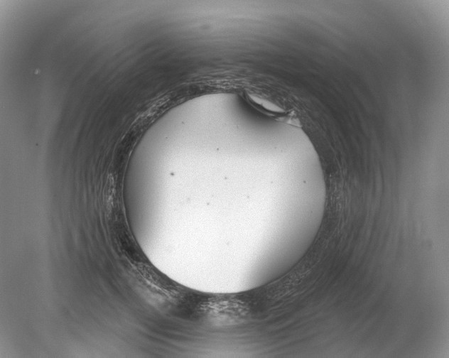 X0000078870752200612111713