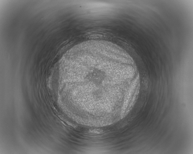 X0000078870753200612111713