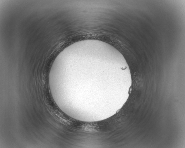 X0000078870756200612111713