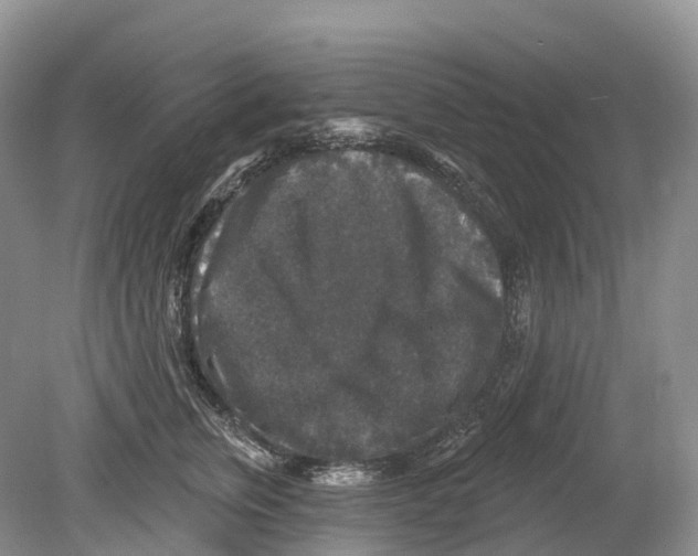 X0000078870759200612111713